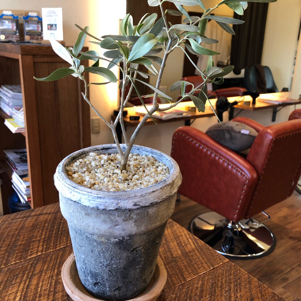 ���e�@�h���b�T�[�@�T�����h���b�T�[�@�X�^�W�I�~���[ ���e�@�J�E���^�[ A�Ŕ� �V���b�v�Ŕ@���ĊŔ@�ؐ��Ŕ@�A�C�A���Ŕ@�X�^���h�Ŕ@���O�Ŕ�